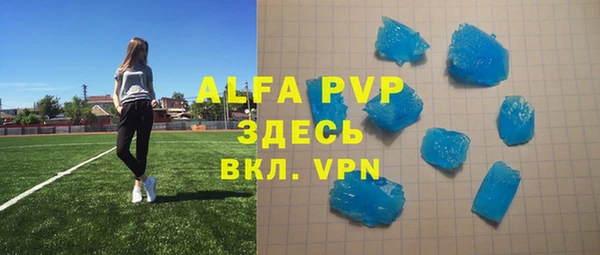 стаф Зерноград