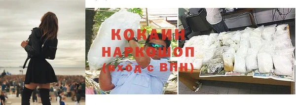 стаф Зерноград