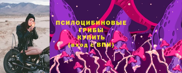 apvp Зеленокумск