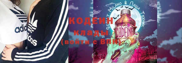 стаф Зерноград