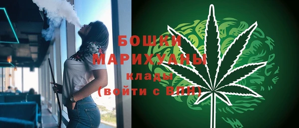 стаф Зерноград