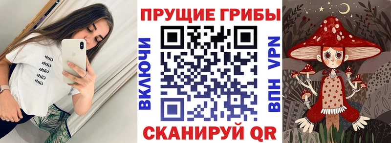 Купить закладки  Учалы  Галлюциногенные грибы мухоморы 